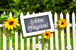 White picket fence with bright sunflowers and a chalkboard sign reading 'Schöne Pfingsten!'