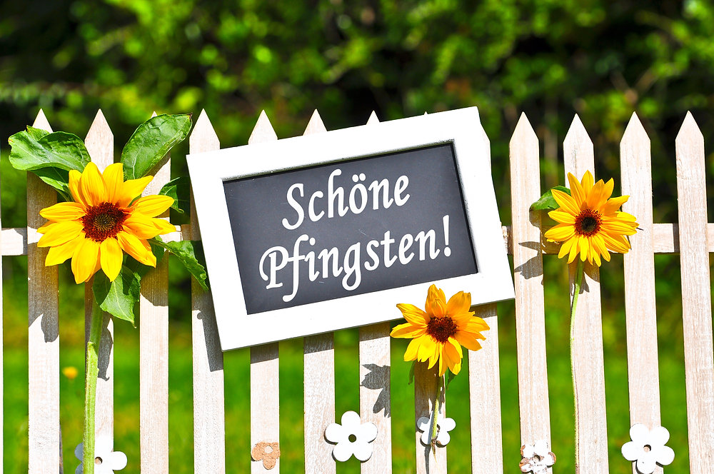 White picket fence with bright sunflowers and a chalkboard sign reading 'Schöne Pfingsten!'